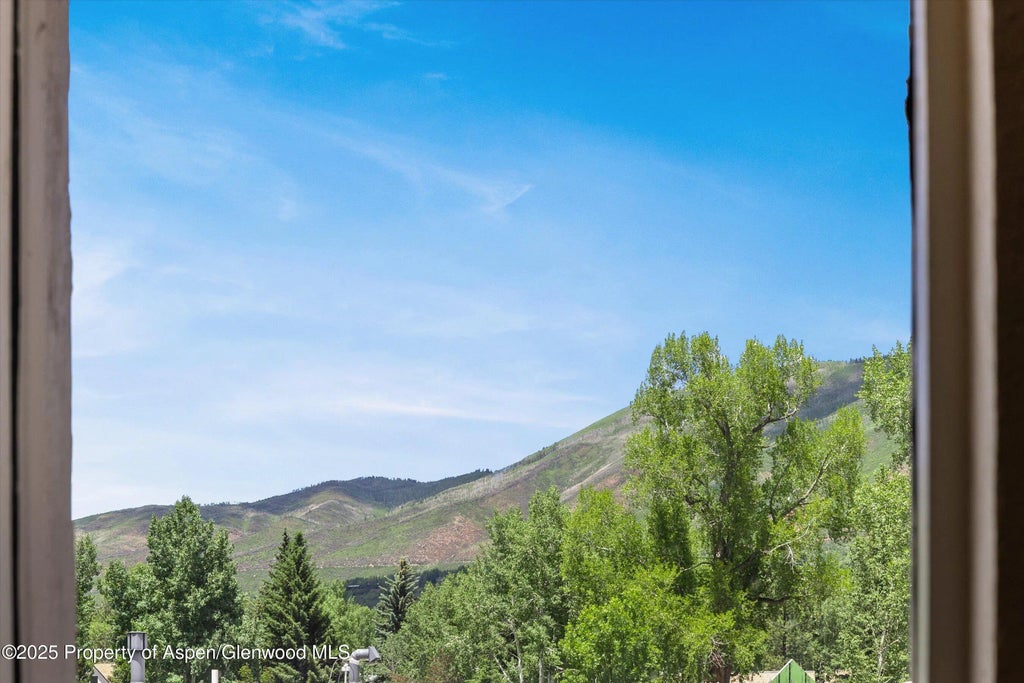 20 of 28 - 124 W Hyman Avenue 3b, Aspen, CO