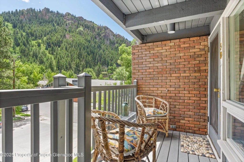 21 of 28 - 124 W Hyman Avenue 3b, Aspen, CO