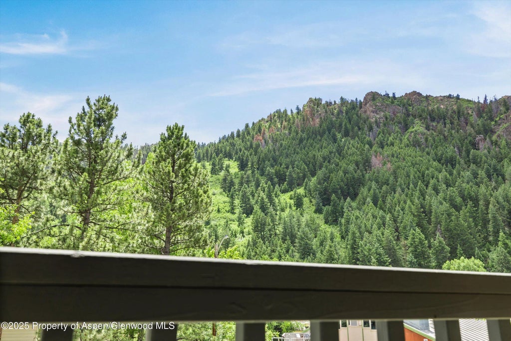 22 of 28 - 124 W Hyman Avenue 3b, Aspen, CO