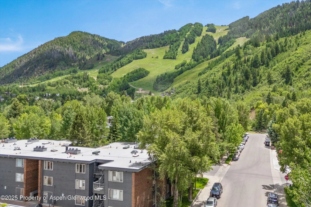 26 of 28 - 124 W Hyman Avenue 3b, Aspen, CO