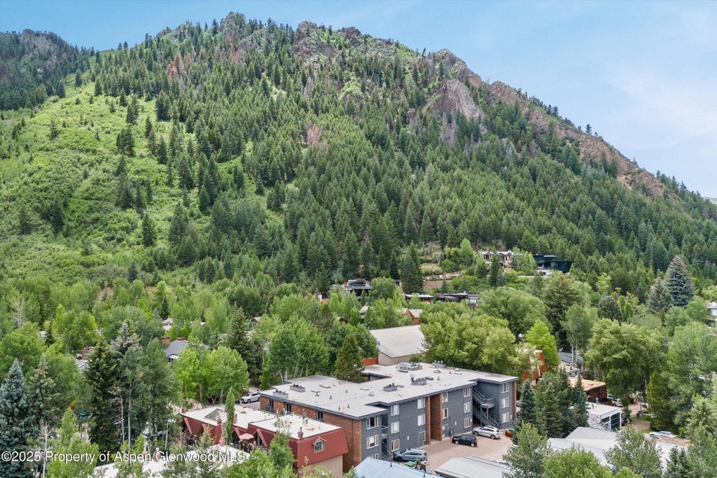 27 of 28 - 124 W Hyman Avenue 3b, Aspen, CO