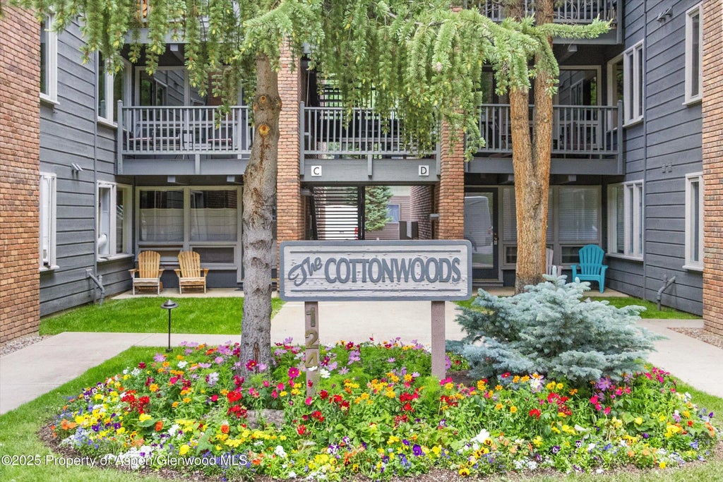 28 of 28 - 124 W Hyman Avenue 3b, Aspen, CO