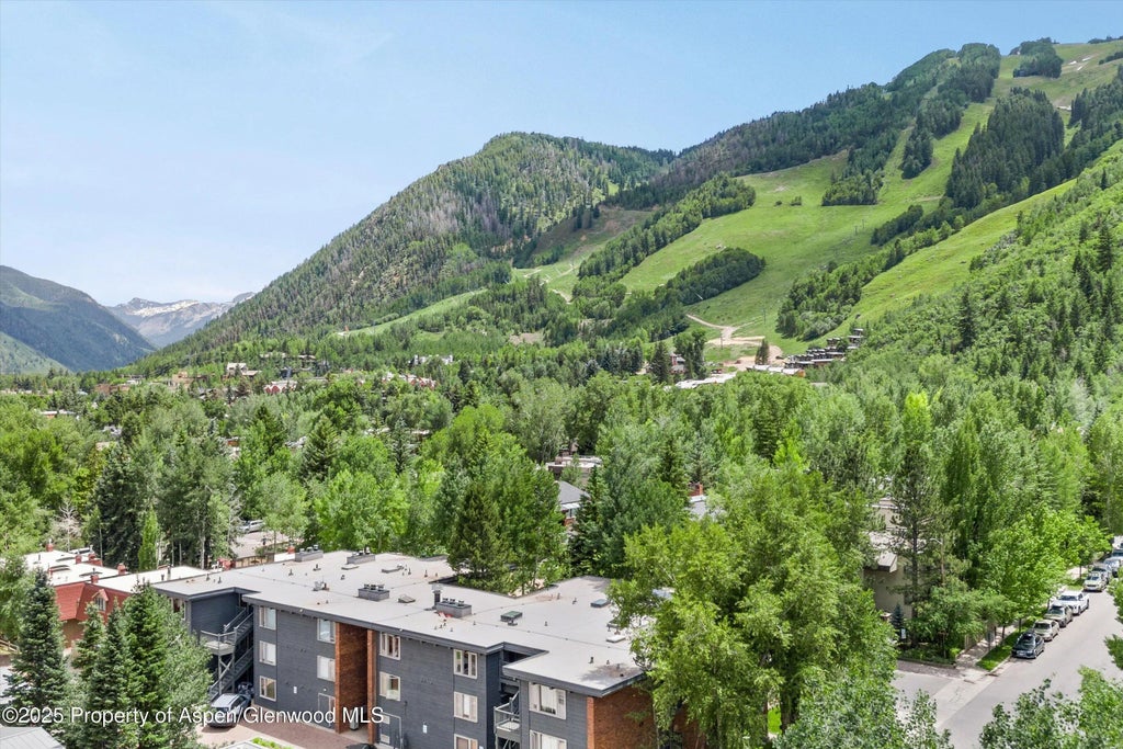 8 of 28 - 124 W Hyman Avenue 3b, Aspen, CO