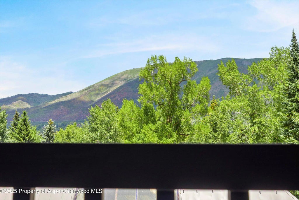 9 of 28 - 124 W Hyman Avenue 3b, Aspen, CO