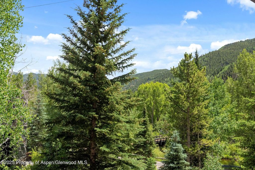 31 of 47 - 42703 Hwy 82 Unit B, Aspen, CO
