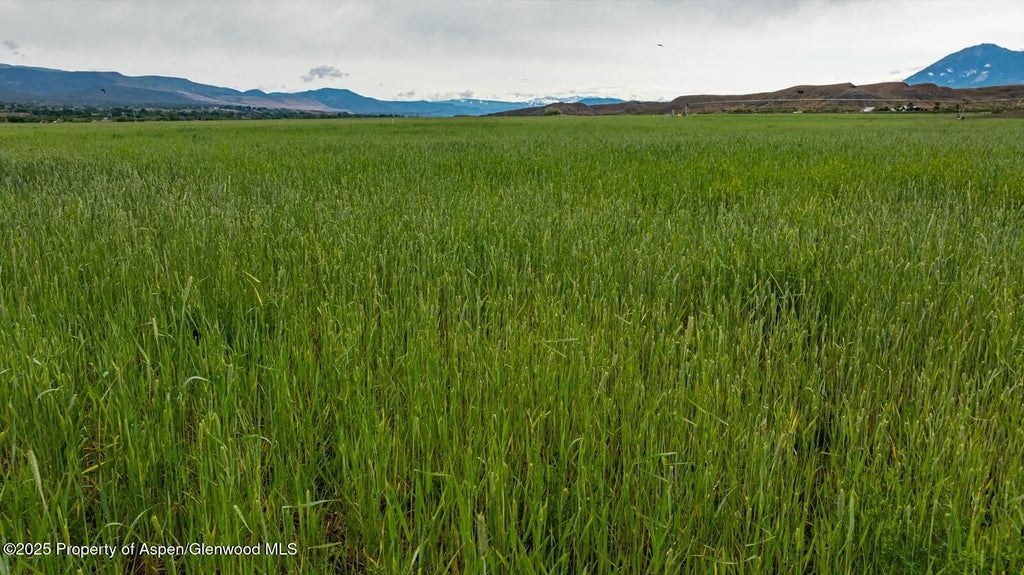 17 of 44 - 8015 Scenic Mesa Road, Hotchkiss, CO