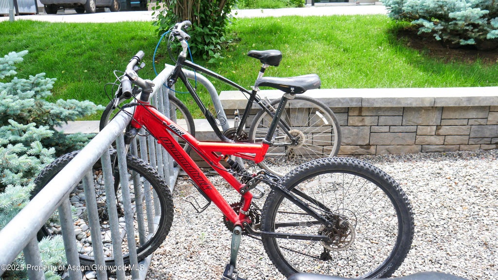 11 of 14 - 100 E Dean Street 2c, Aspen, CO