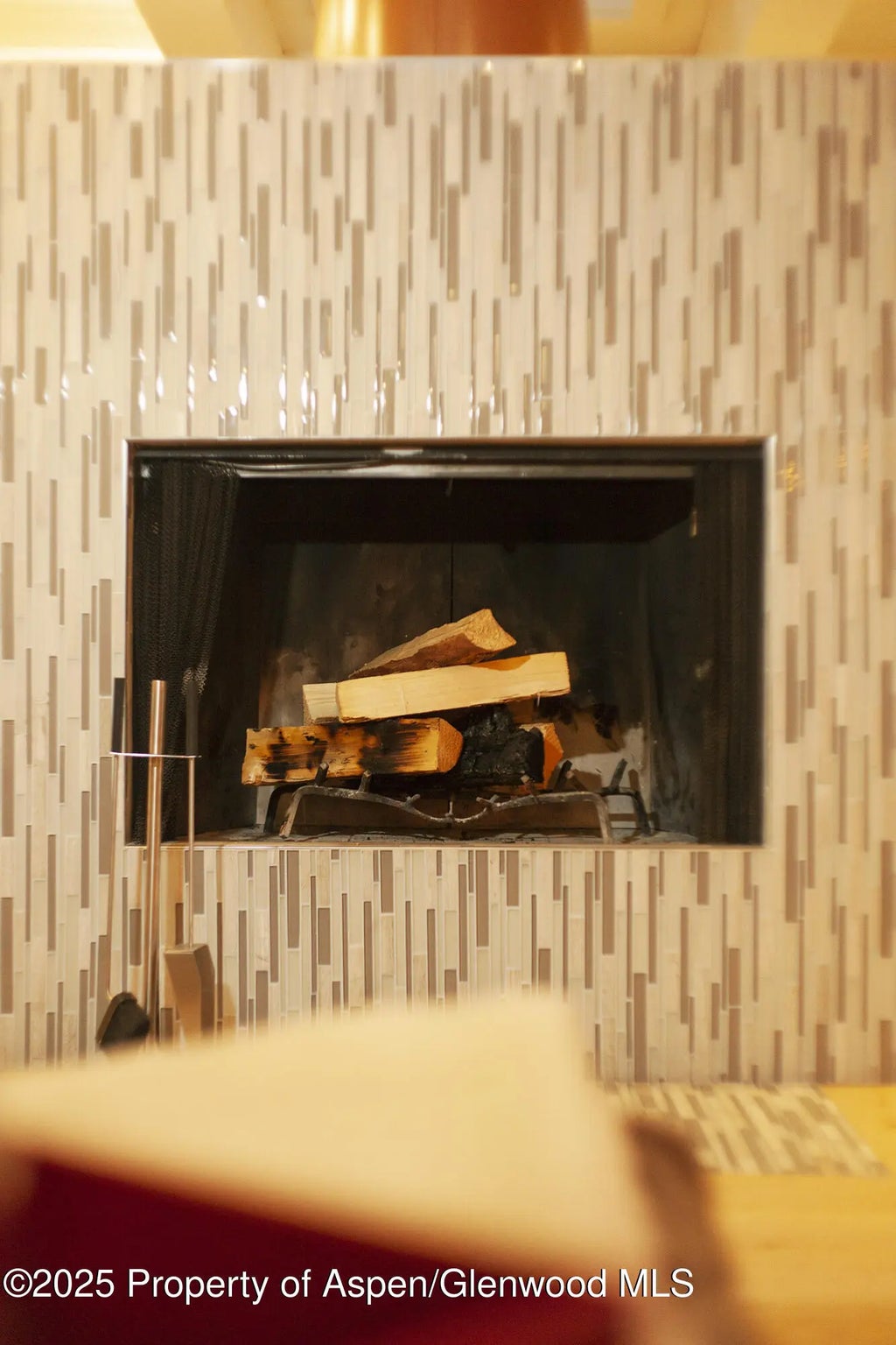 10 of 37 - 1039 E Cooper Avenue 16a, Aspen, CO