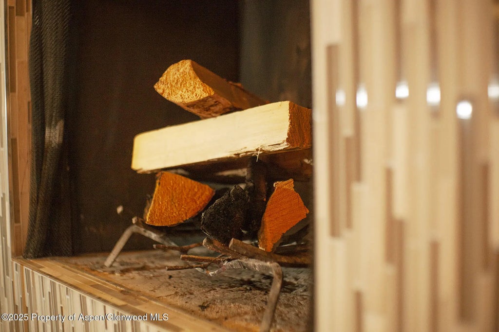 11 of 37 - 1039 E Cooper Avenue 16a, Aspen, CO