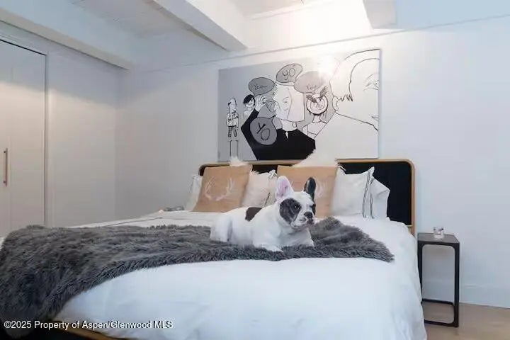 19 of 37 - 1039 E Cooper Avenue 16a, Aspen, CO