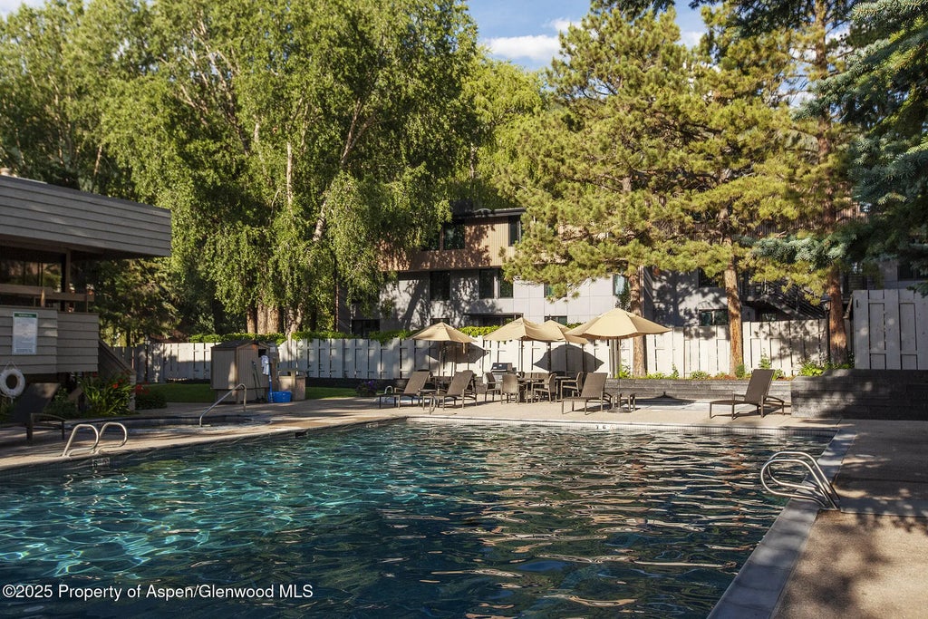 33 of 37 - 1039 E Cooper Avenue 16a, Aspen, CO