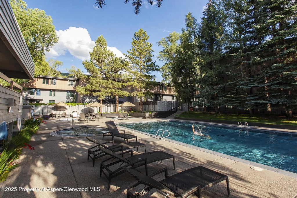 34 of 37 - 1039 E Cooper Avenue 16a, Aspen, CO