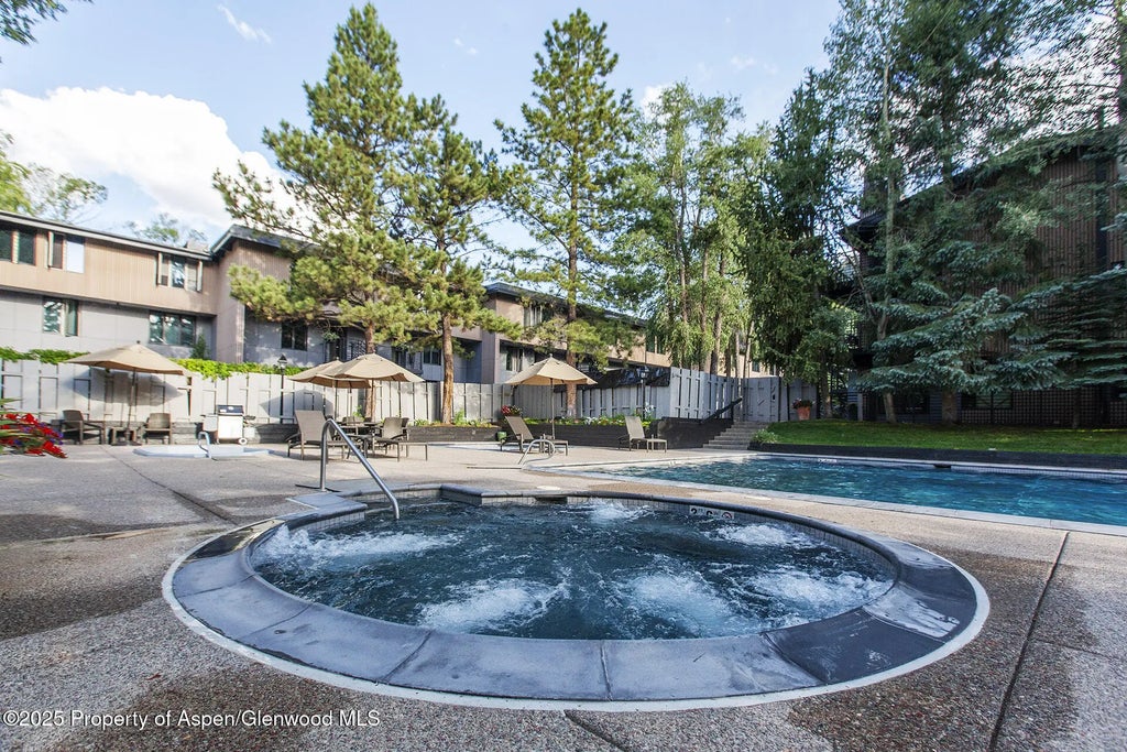 35 of 37 - 1039 E Cooper Avenue 16a, Aspen, CO