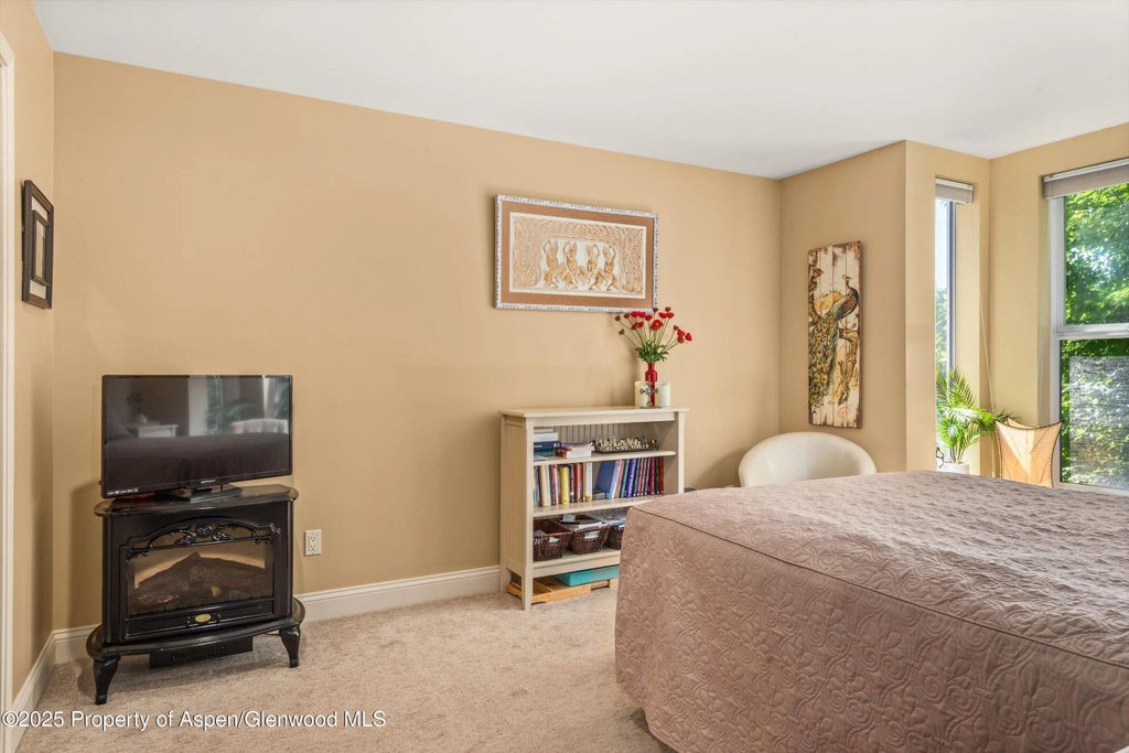 20 of 37 - 169 Village Lane, Carbondale, CO