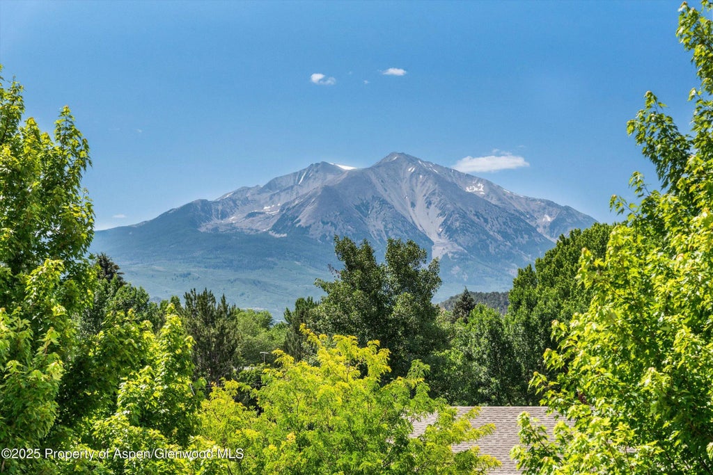 25 of 37 - 169 Village Lane, Carbondale, CO