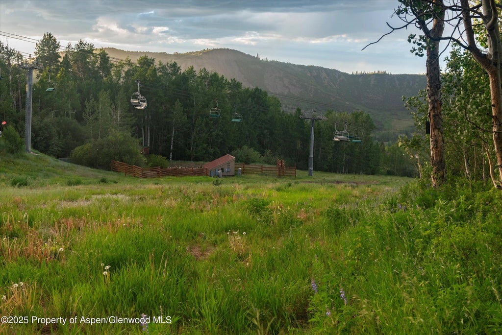 22 of 68 - 473 Creek Lane, Snowmass Village, CO