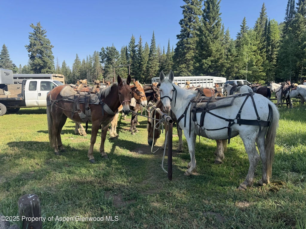 14 of 31 - 6398 County Road 4, Meeker, CO