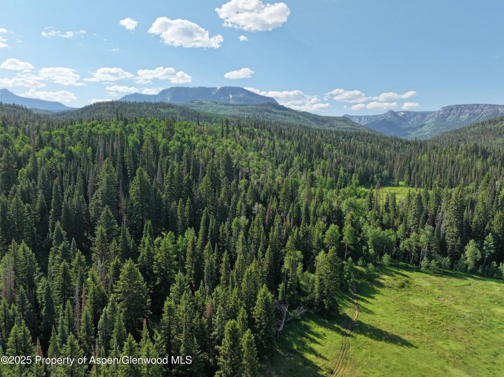 15 of 31 - 6398 County Road 4, Meeker, CO