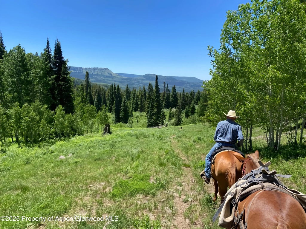 25 of 31 - 6398 County Road 4, Meeker, CO