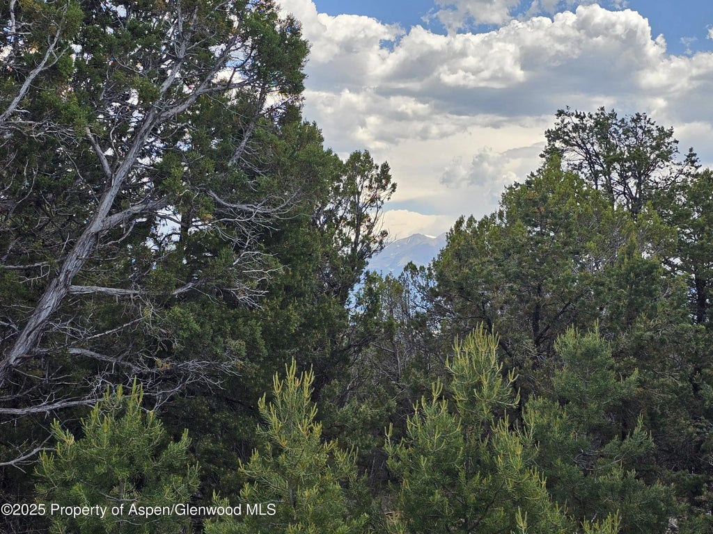 10 of 12 - 3221 Elk Springs Drive, Glenwood Springs, CO