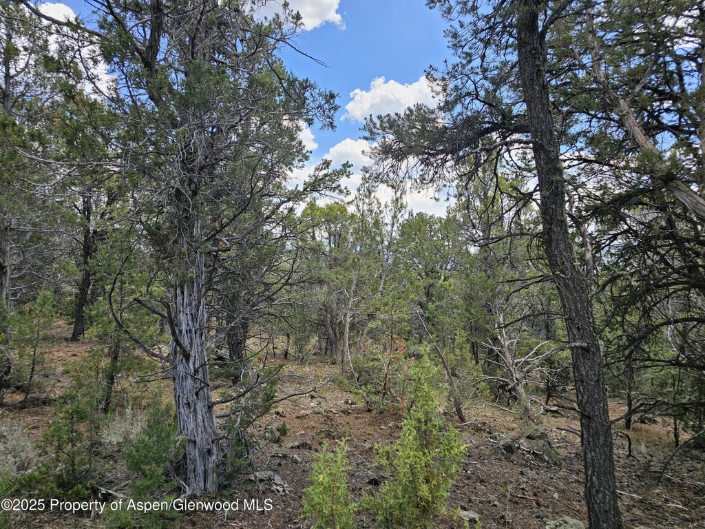 4 of 12 - 3221 Elk Springs Drive, Glenwood Springs, CO