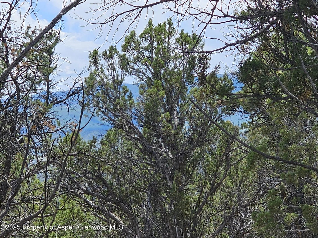 5 of 12 - 3221 Elk Springs Drive, Glenwood Springs, CO