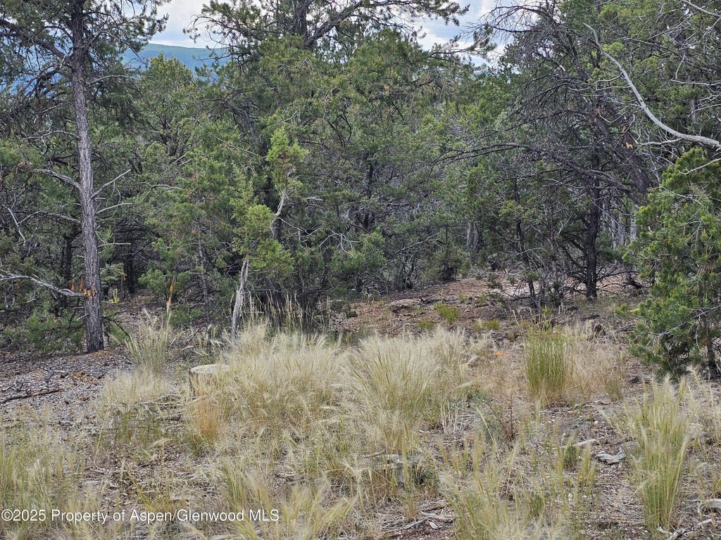 7 of 12 - 3221 Elk Springs Drive, Glenwood Springs, CO