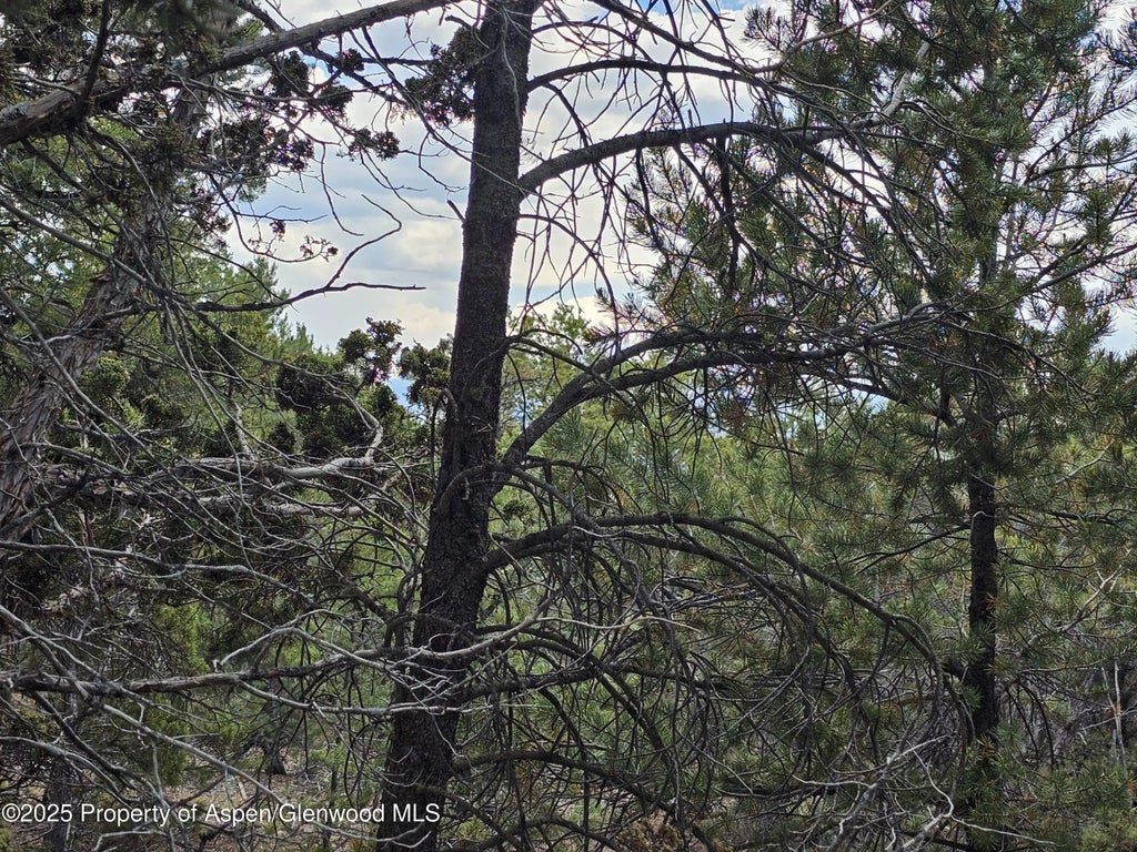 8 of 12 - 3221 Elk Springs Drive, Glenwood Springs, CO