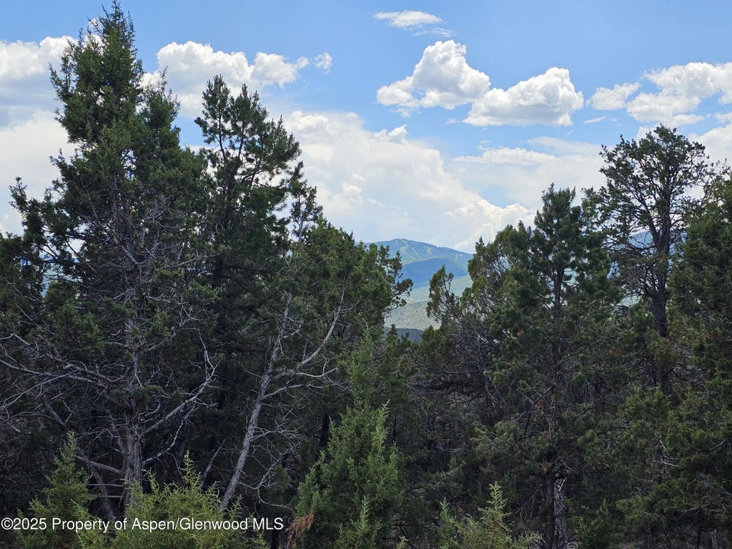 9 of 12 - 3221 Elk Springs Drive, Glenwood Springs, CO