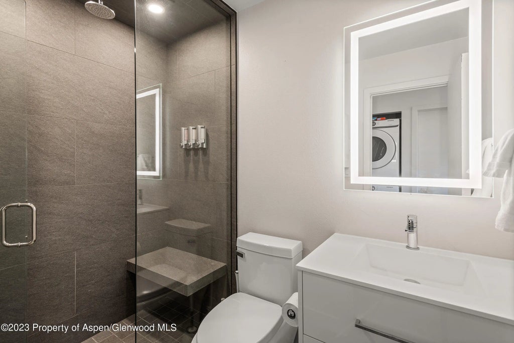 10 of 11 - 220 W Main Street 210/p1/b6, Aspen, CO