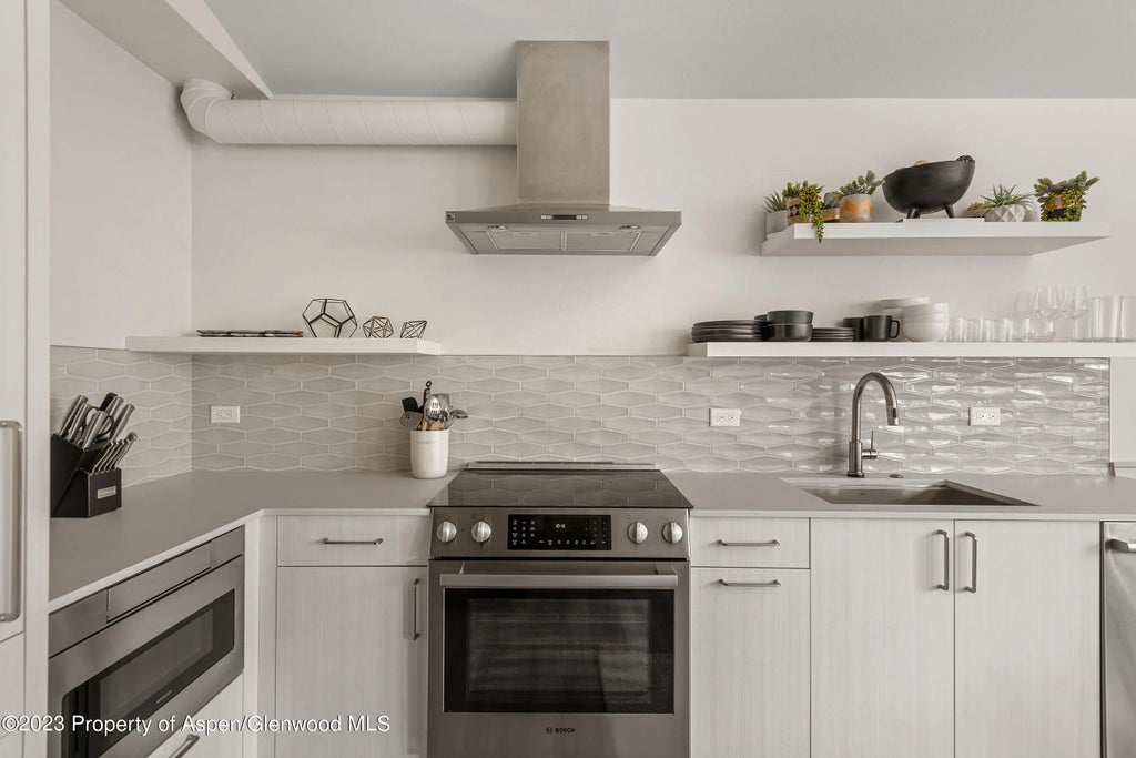 6 of 11 - 220 W Main Street 210/p1/b6, Aspen, CO