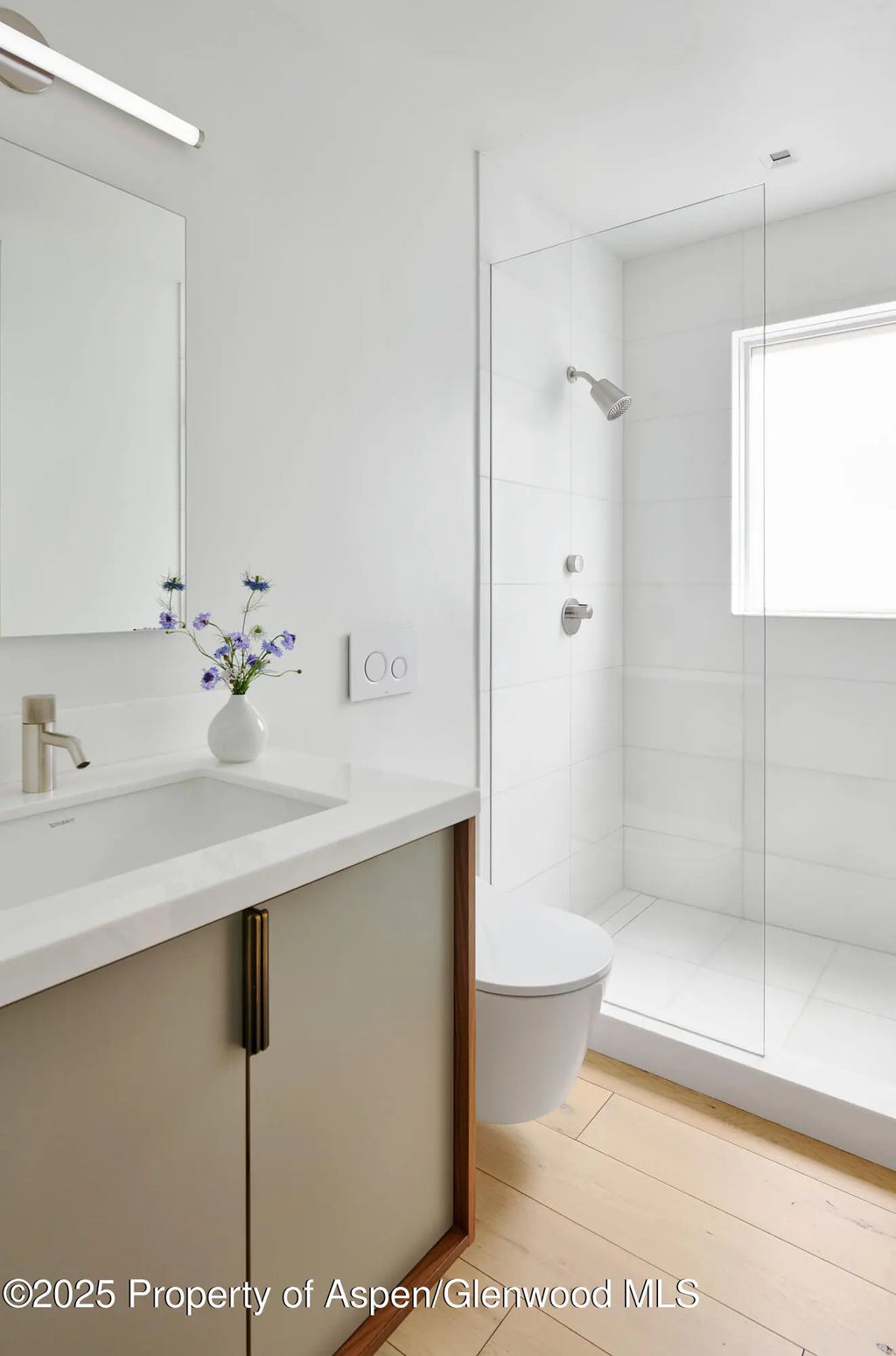 23 of 30 - 612 W Francis Street, Aspen, CO