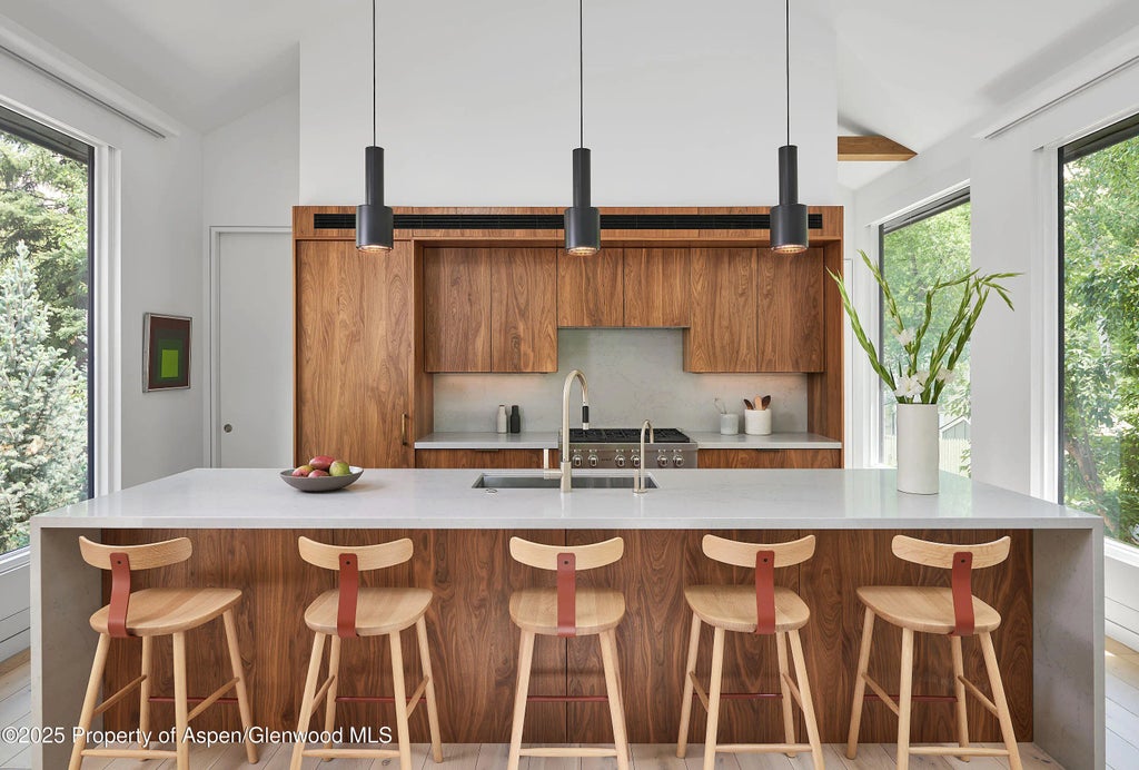 3 of 30 - 612 W Francis Street, Aspen, CO