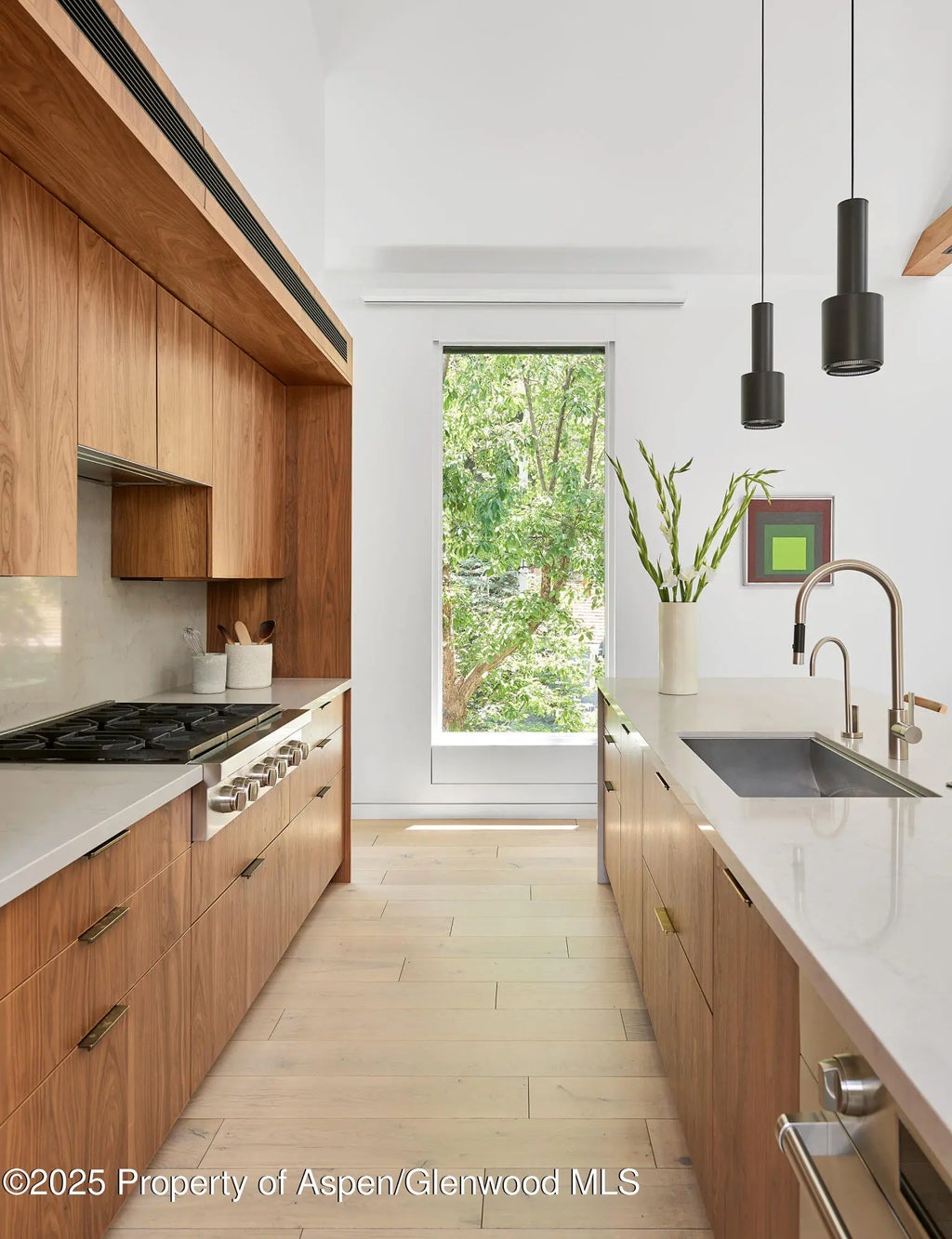 7 of 30 - 612 W Francis Street, Aspen, CO