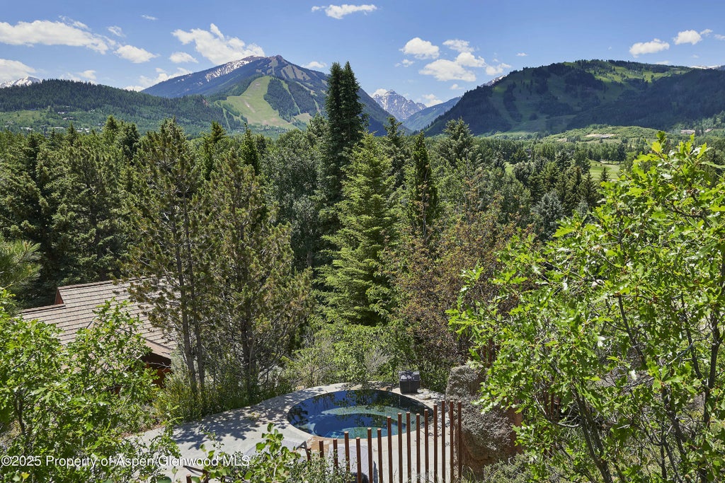 2 of 31 - 1430 Silver King Drive, Aspen, CO