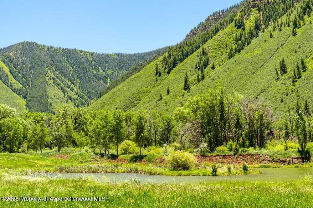 7 of 22 - 5045 Frying Pan Road, Basalt, CO