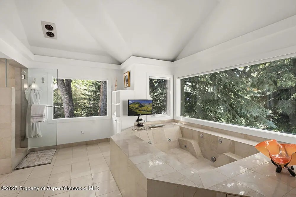 18 of 41 - 437 W Smuggler Street, Aspen, CO