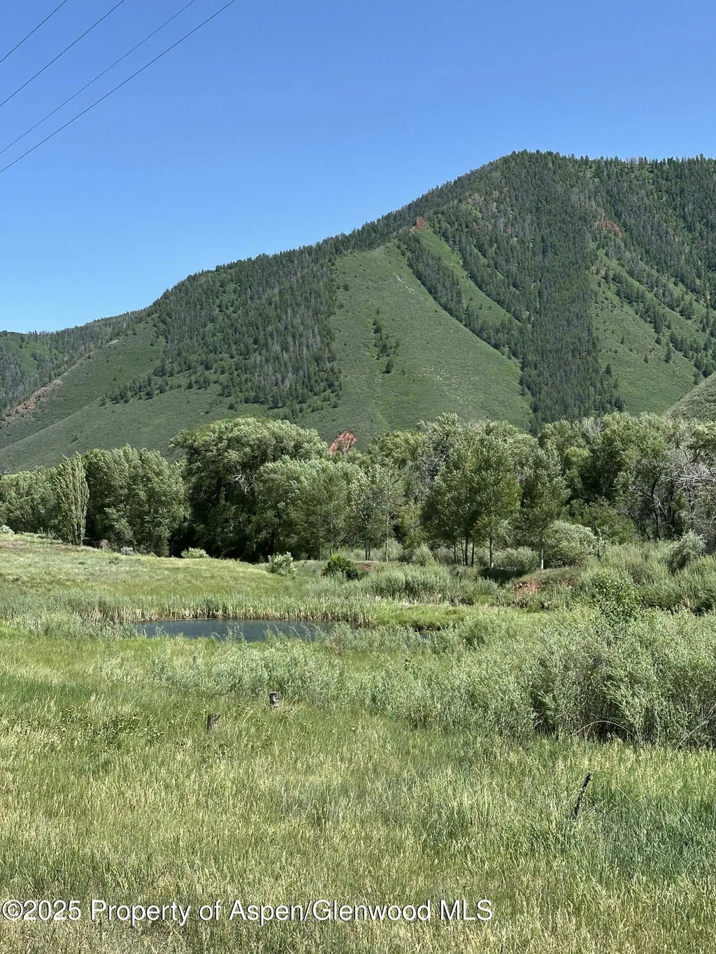 10 of 20 - 4959 Frying Pan Road, Basalt, CO