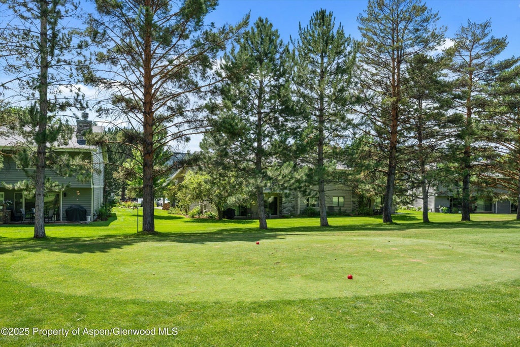 21 of 44 - 14913 Hwy 82 275, Carbondale, CO