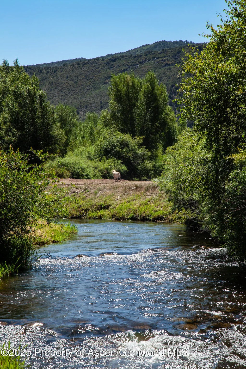 26 of 44 - 14913 Hwy 82 275, Carbondale, CO