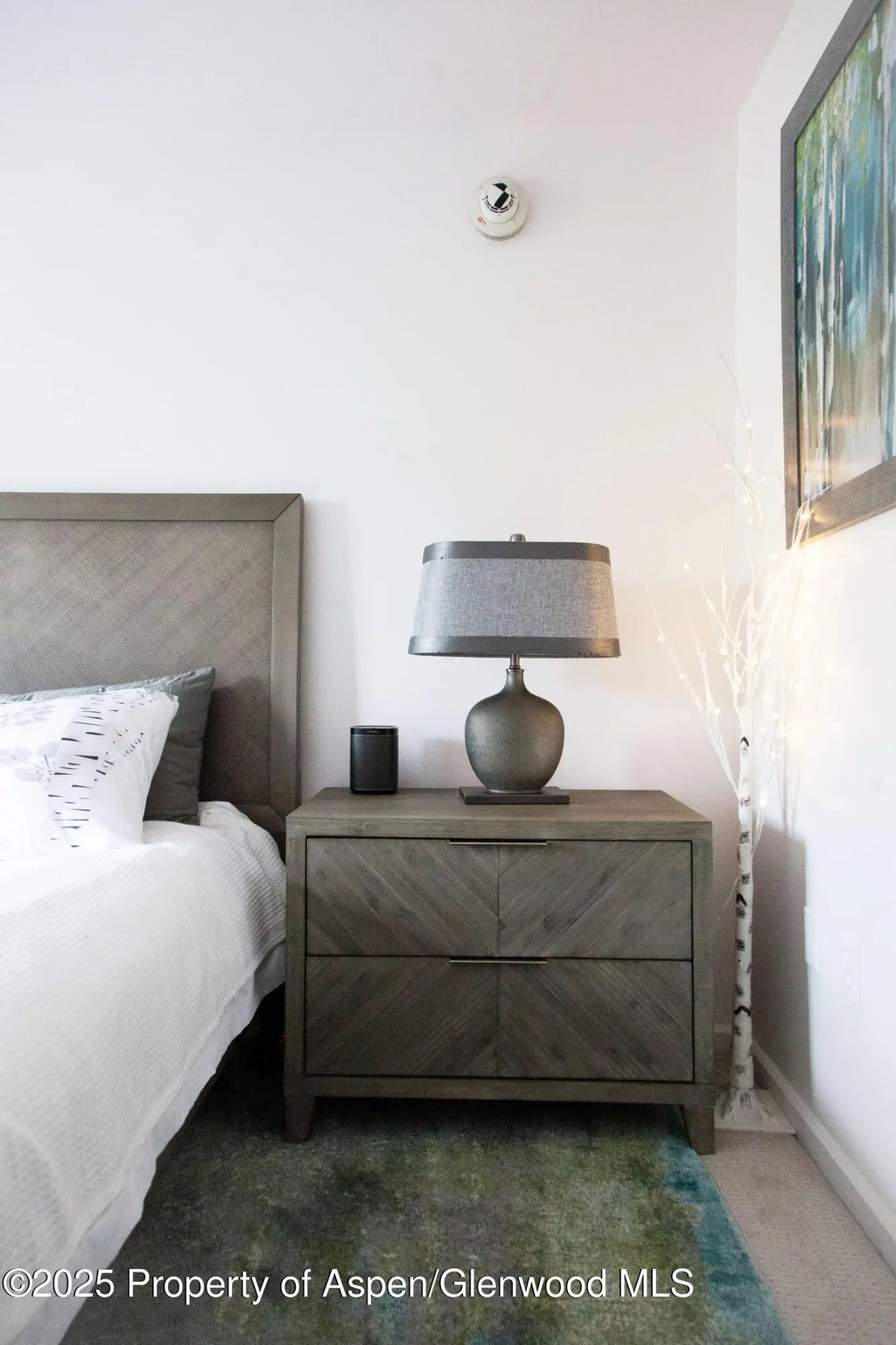 13 of 16 - 210 E Cooper Avenue 3e, Aspen, CO