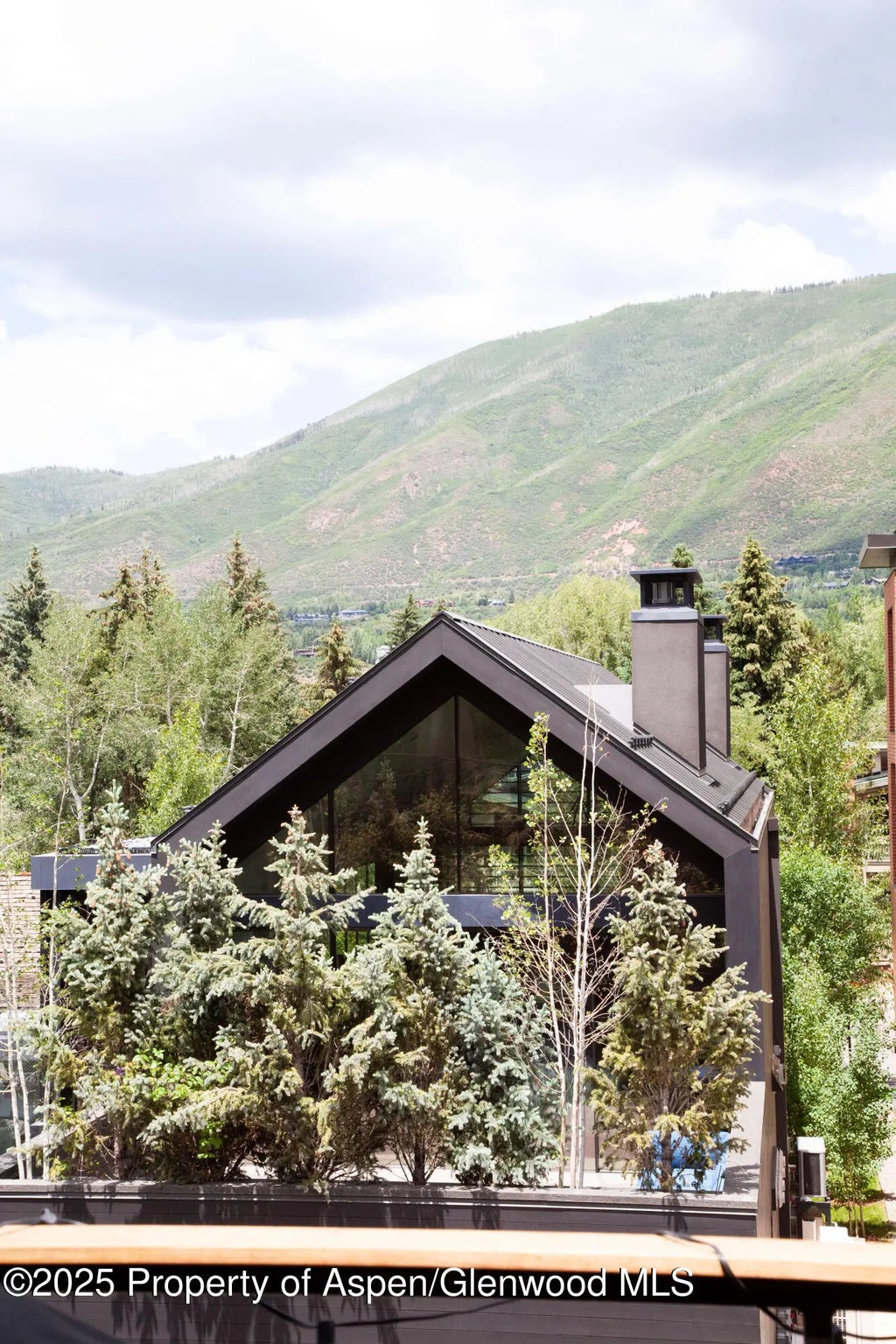 15 of 16 - 210 E Cooper Avenue 3e, Aspen, CO
