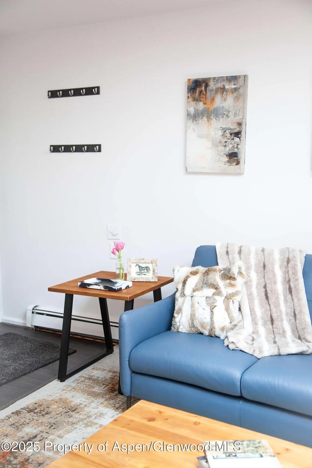 5 of 16 - 210 E Cooper Avenue 3e, Aspen, CO