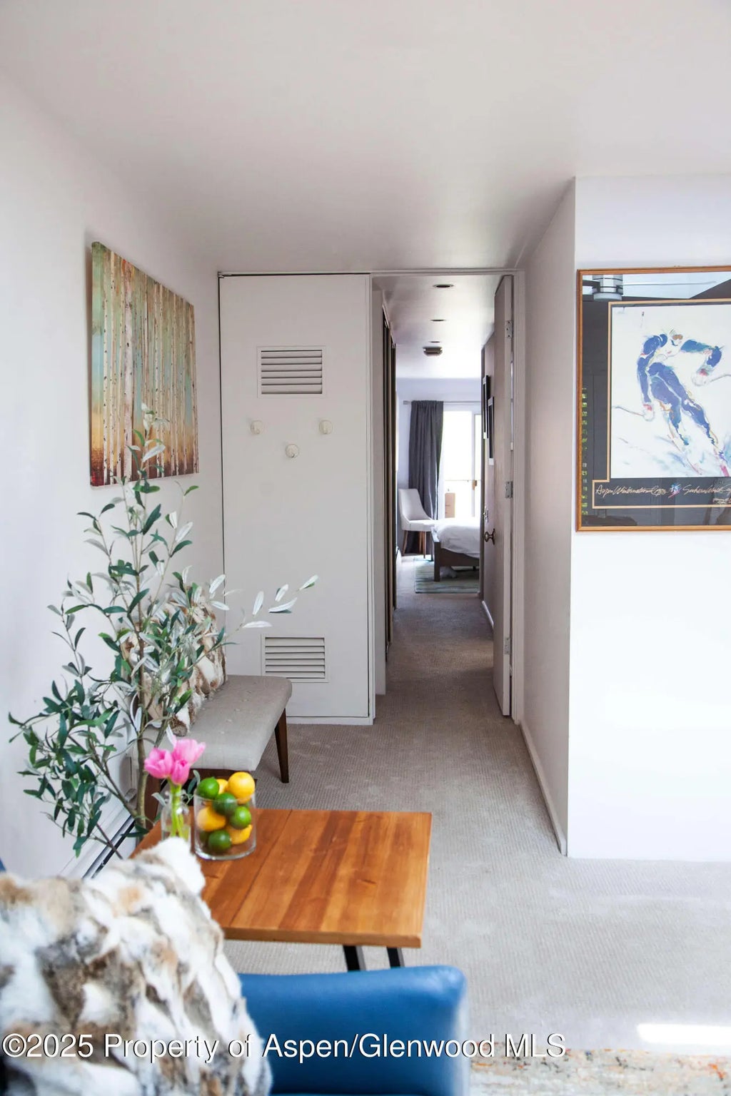 7 of 16 - 210 E Cooper Avenue 3e, Aspen, CO