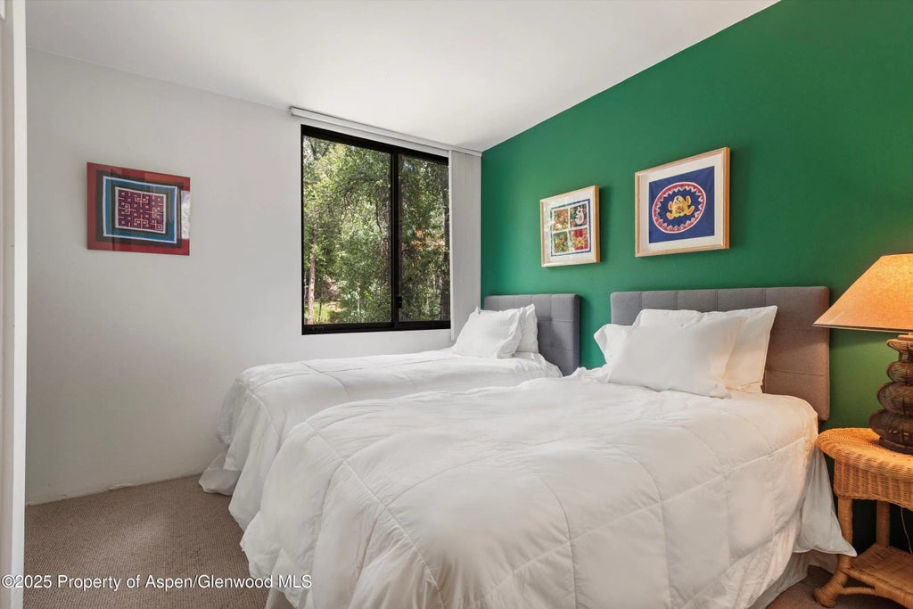 10 of 20 - 1024 E Hopkins Avenue #16, Aspen, CO