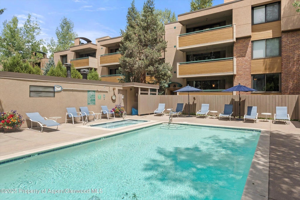 17 of 20 - 1024 E Hopkins Avenue #16, Aspen, CO