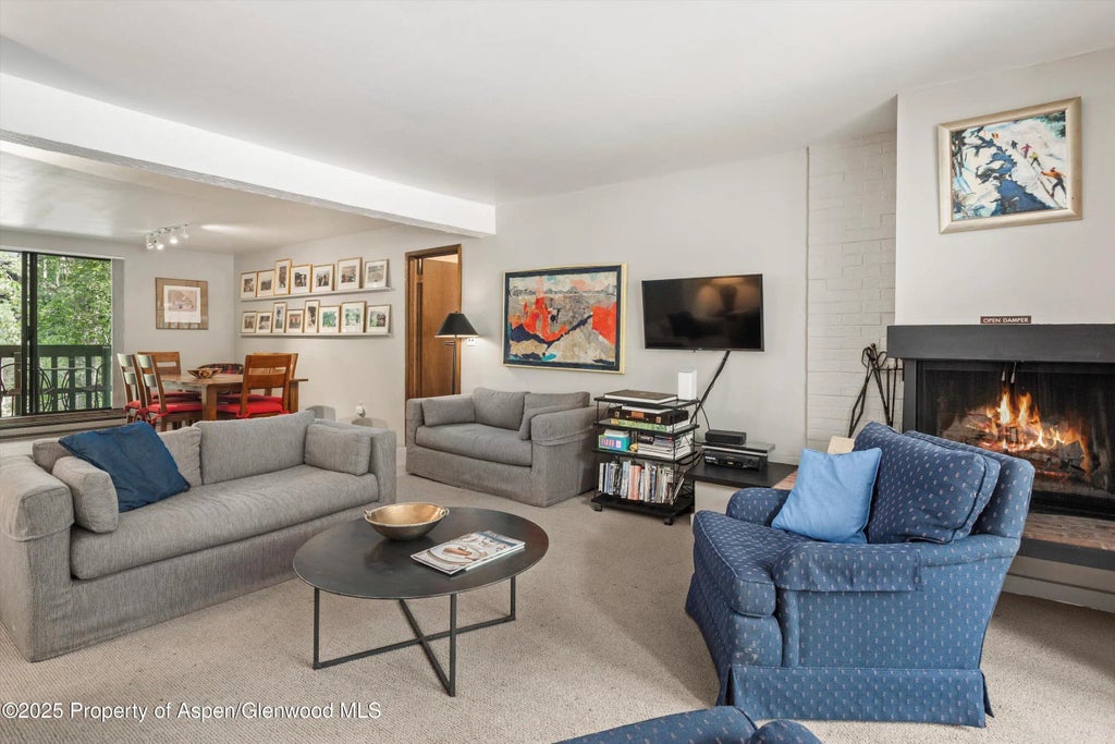 3 of 20 - 1024 E Hopkins Avenue #16, Aspen, CO