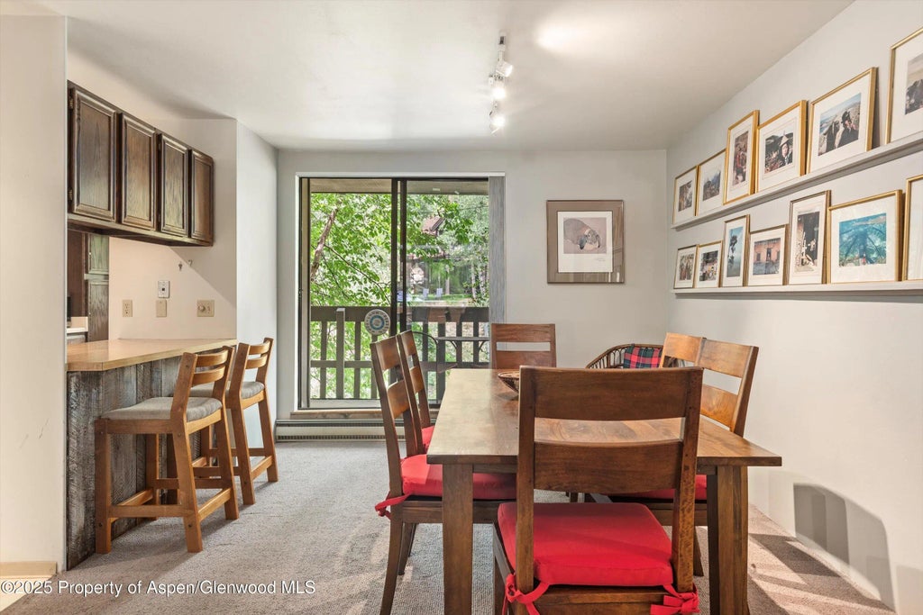 4 of 20 - 1024 E Hopkins Avenue #16, Aspen, CO