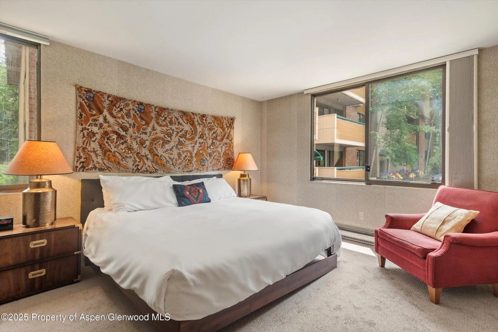 8 of 20 - 1024 E Hopkins Avenue #16, Aspen, CO