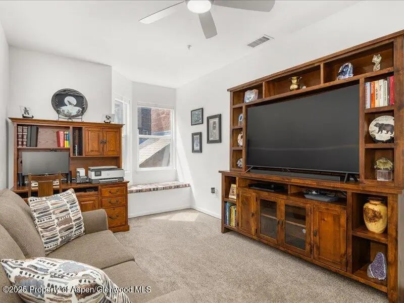 14 of 20 - 2701 Midland Avenue #1111, Glenwood Springs, CO